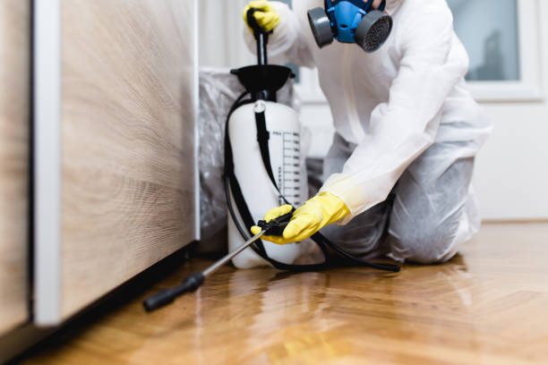 Best Pest Removal Services  in Menlo Park Terrace, NJ