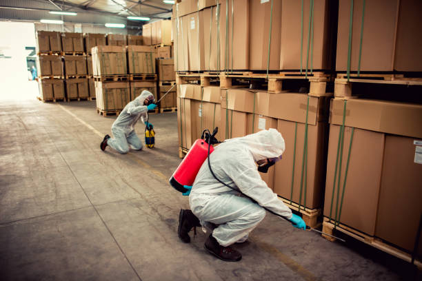 Best Pest Control Near Me  in Menlo Park Terrace, NJ