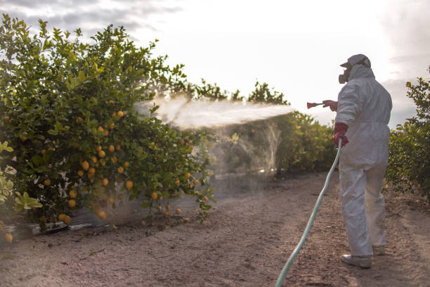 Best Mosquito Control Services  in Menlo Park Terrace, NJ