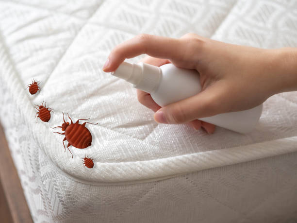 Best Pest Prevention Services  in Menlo Park Terrace, NJ