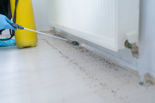 Best Cockroach Control Services  in Menlo Park Terrace, NJ