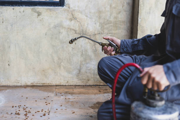 Best Best Pest Control Companies  in Menlo Park Terrace, NJ