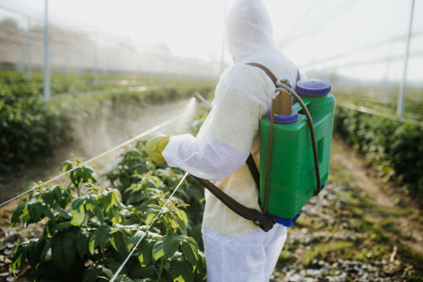 Trusted Menlo Park Terrace, NJ Pest Control Experts